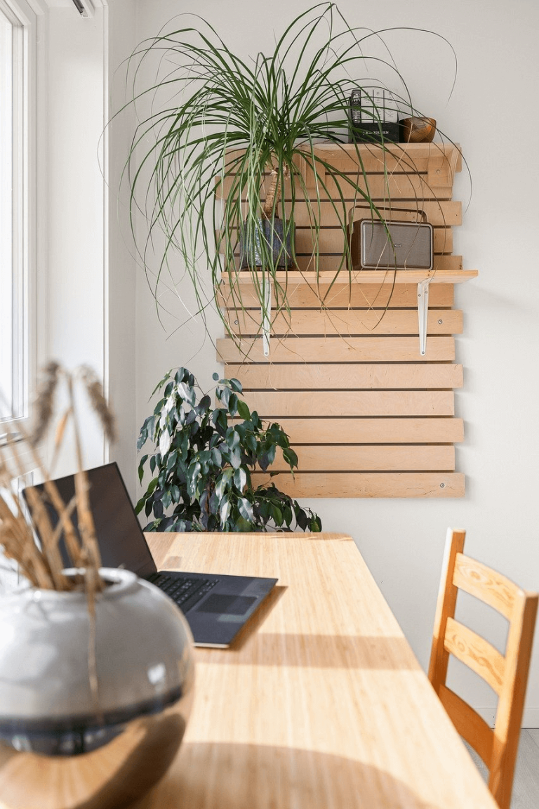 Assistante référencement naturel SEO